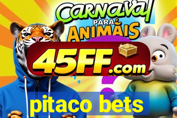 pitaco bets